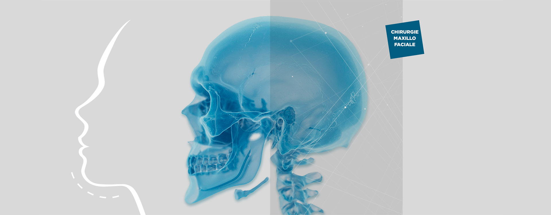 maxillofacial